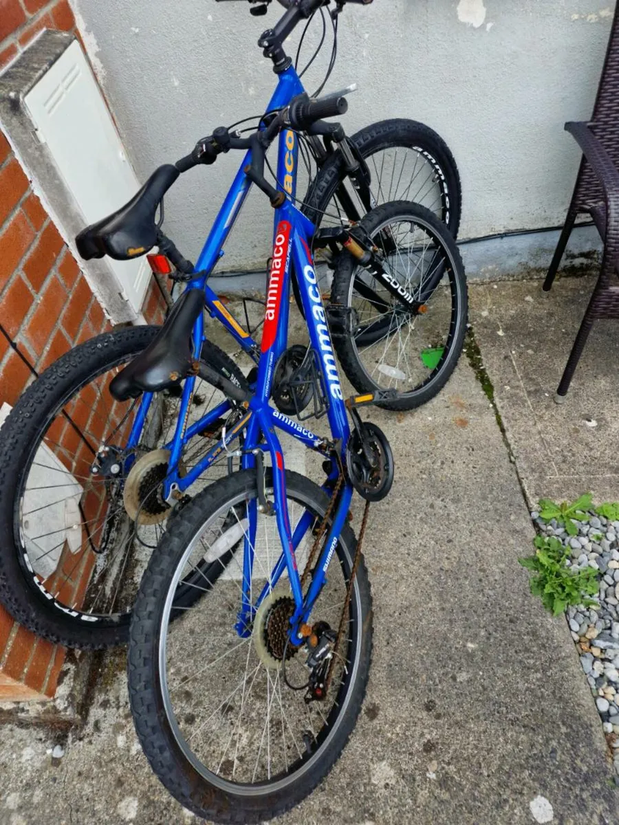 Bikes - Image 1