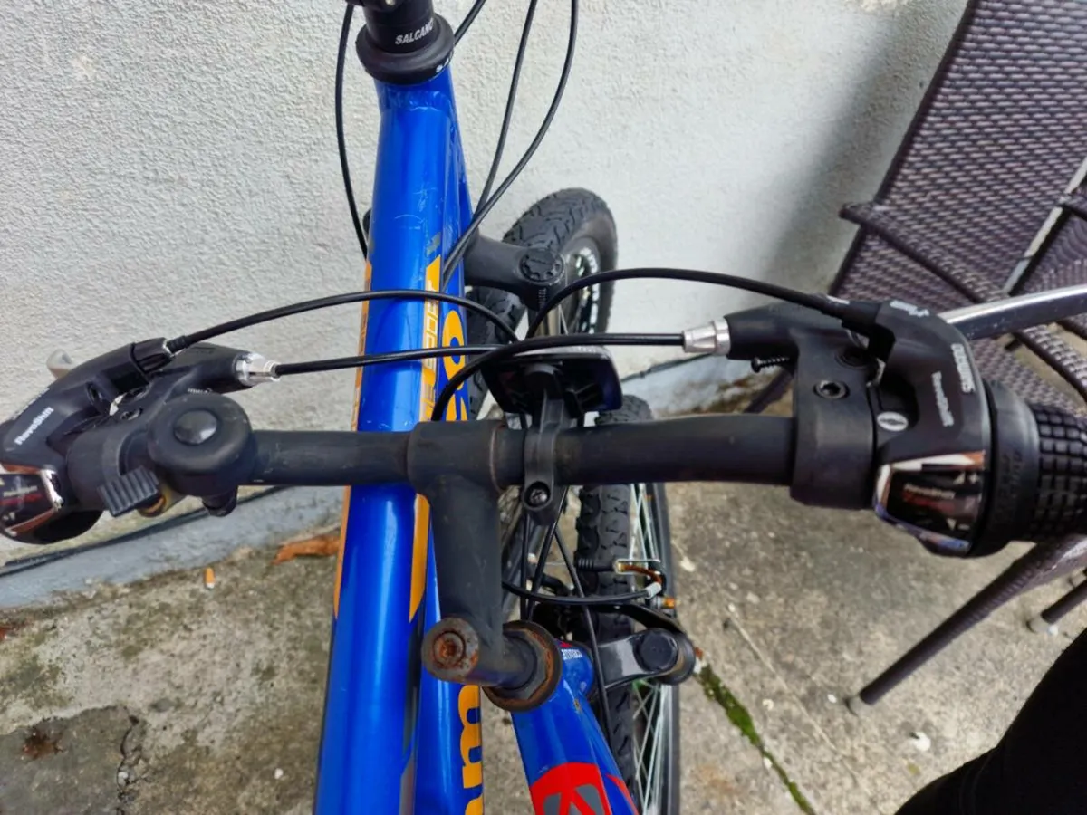 Bikes - Image 3