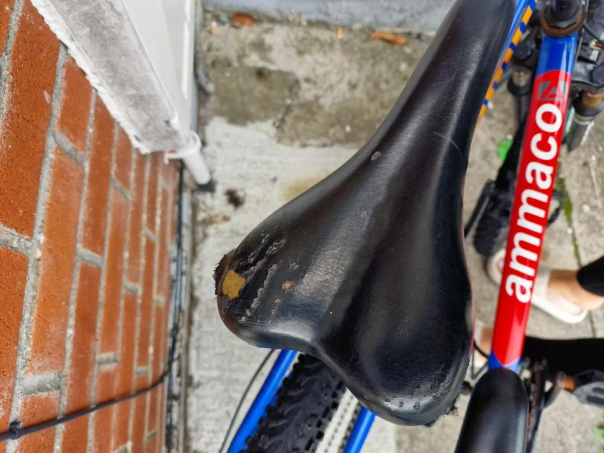 Bikes - Image 4