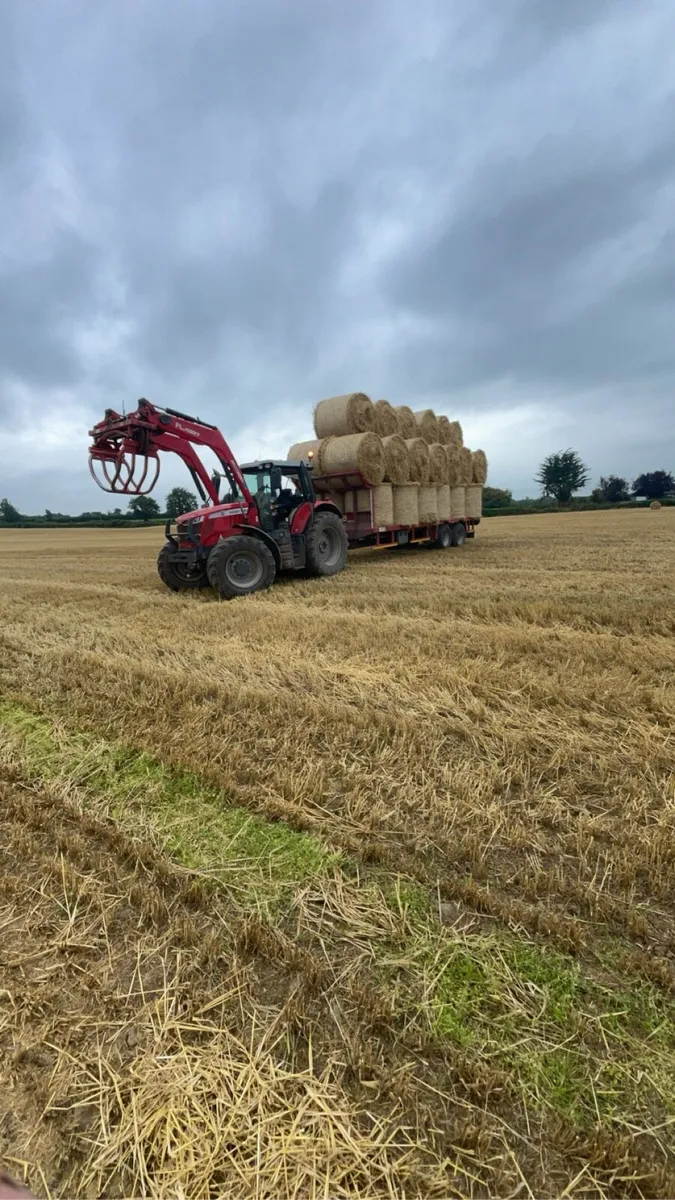 Small square bales hay and straw - Image 3