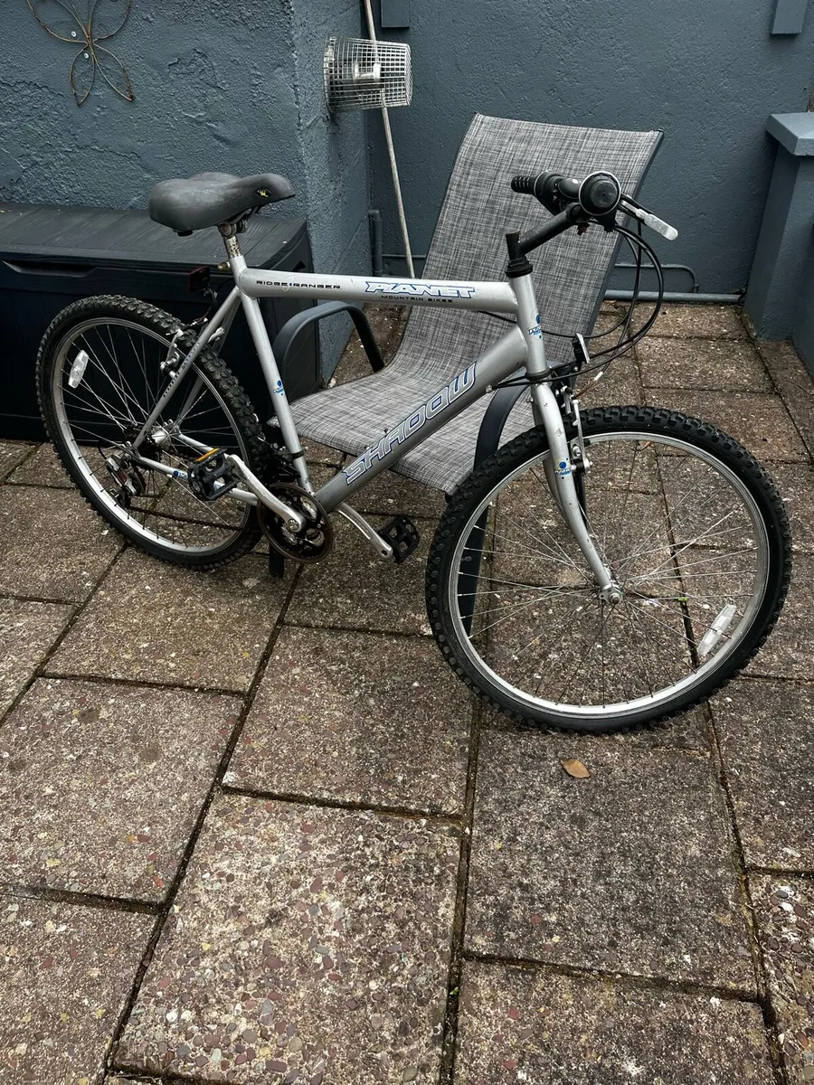 Male Bicycle - Image 1