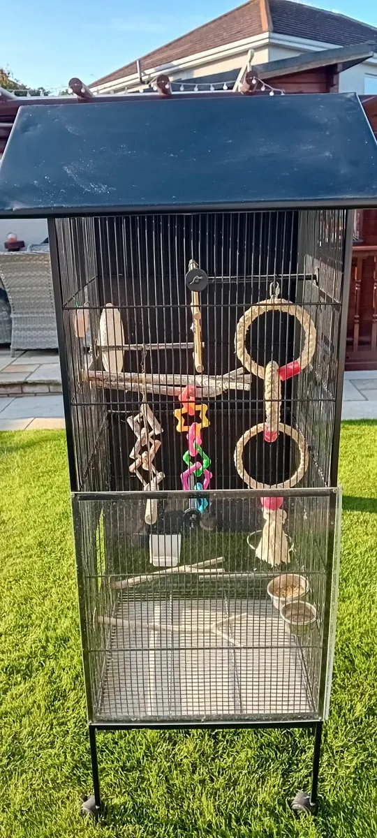 Bird Aviary Cage - Image 2