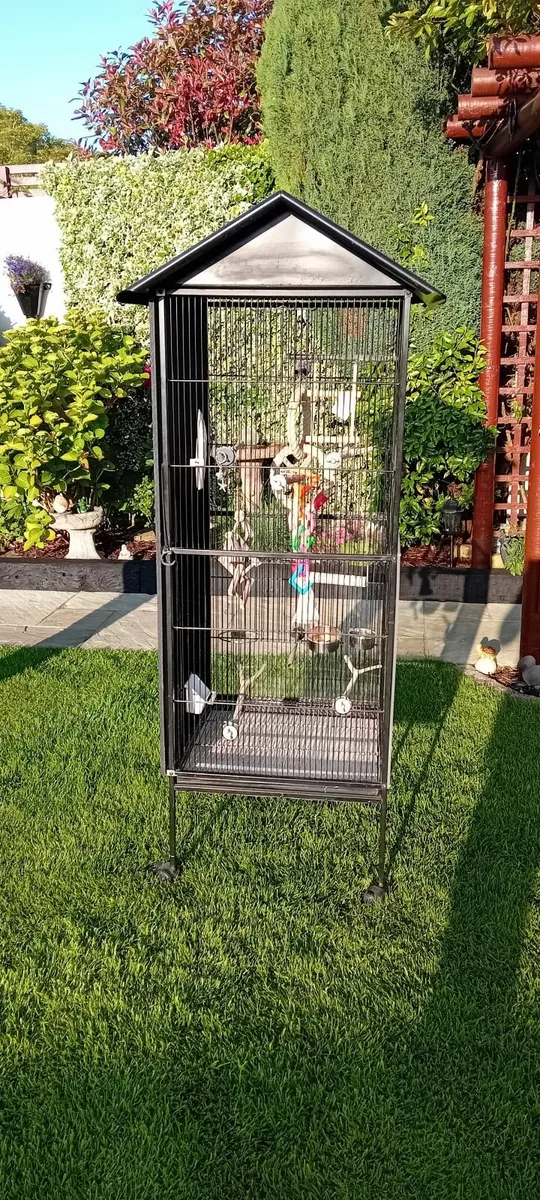 Bird Aviary Cage - Image 1