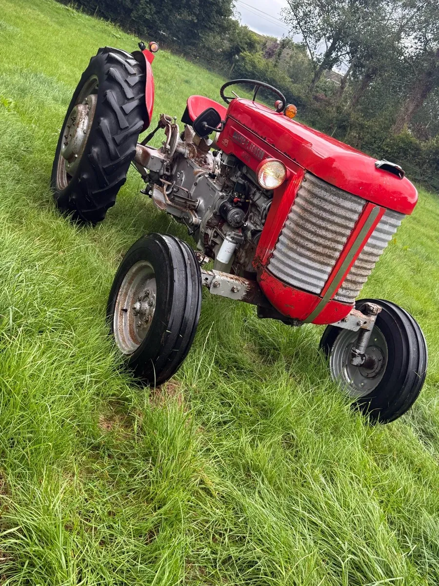 Massey Ferguson 65 - Image 2