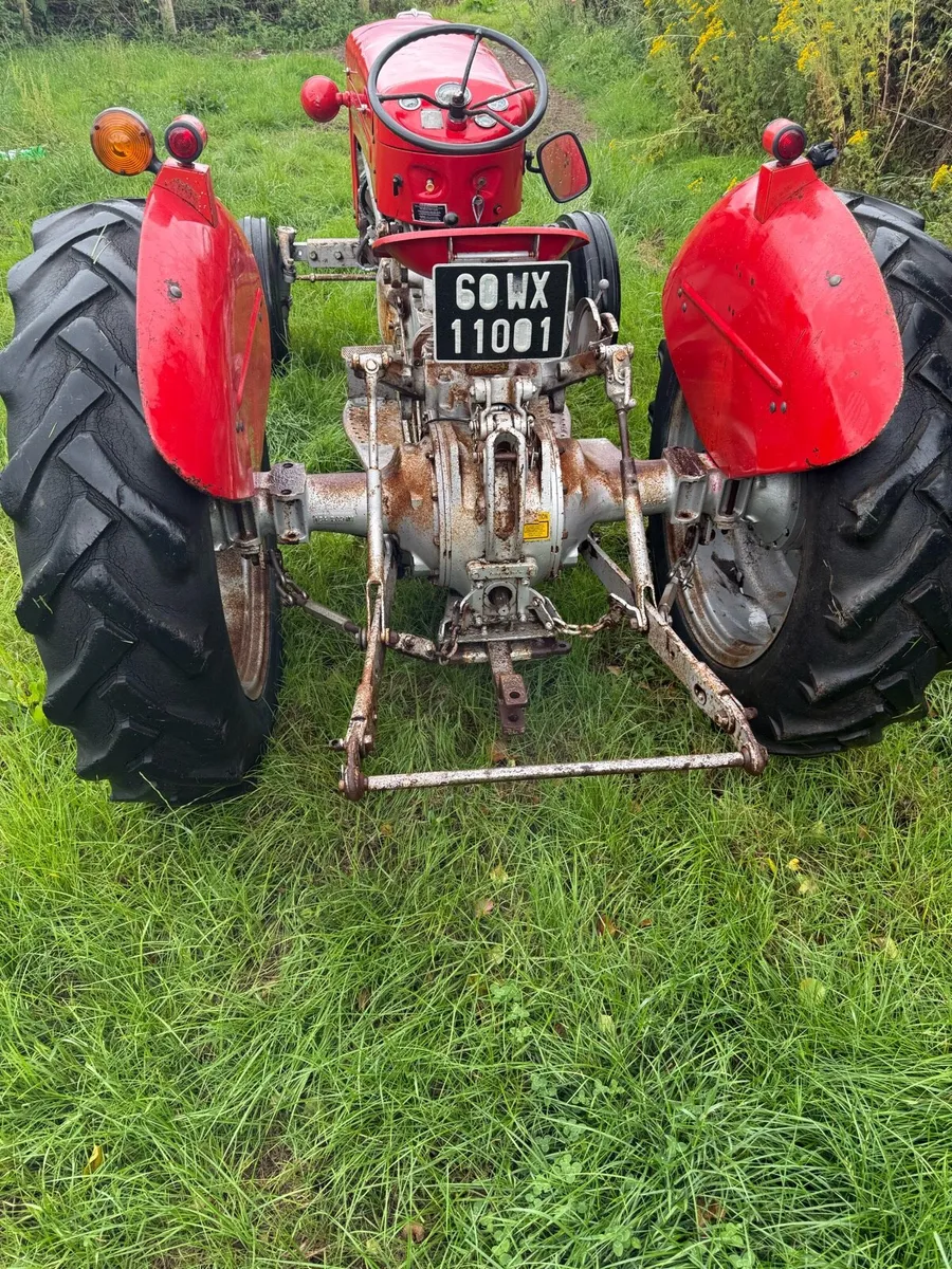 Massey Ferguson 65 - Image 3