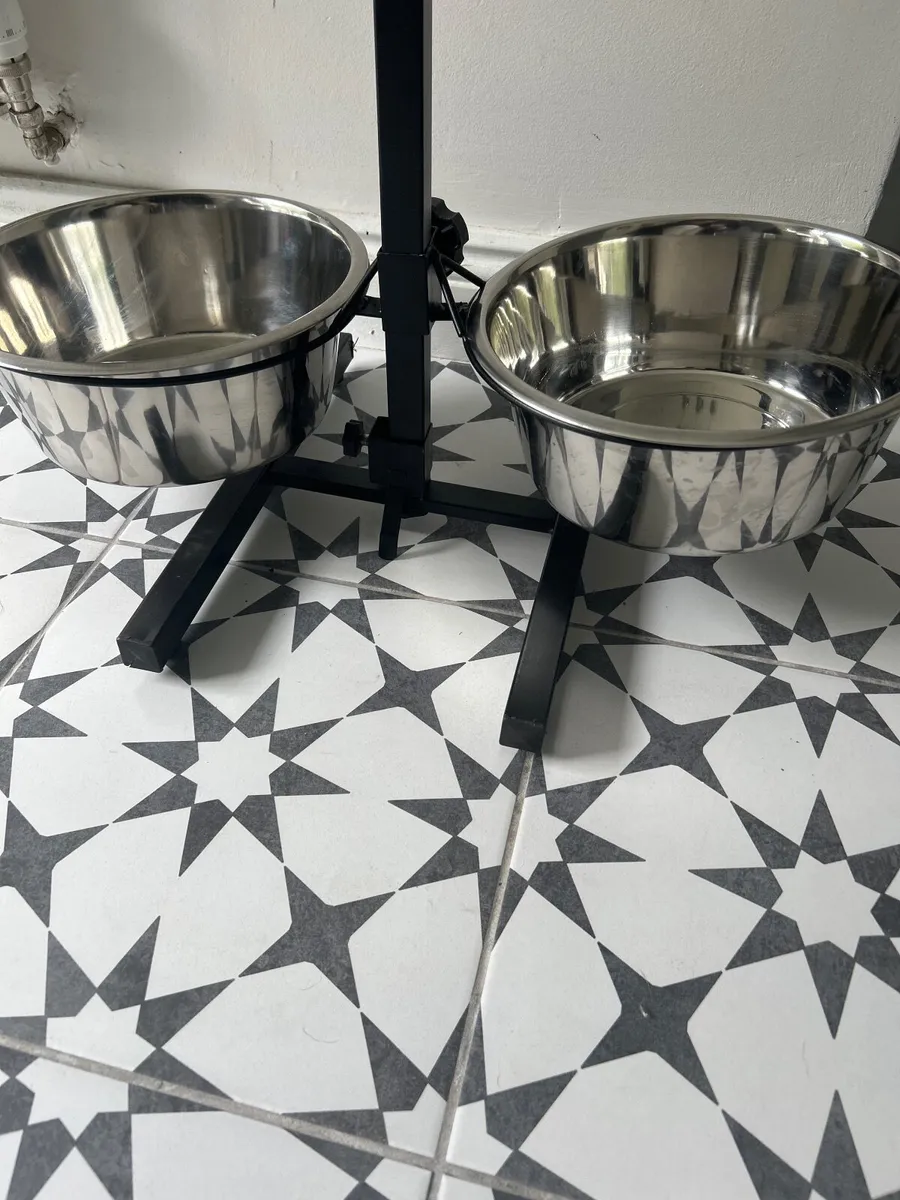 Dog Bowls and Stand