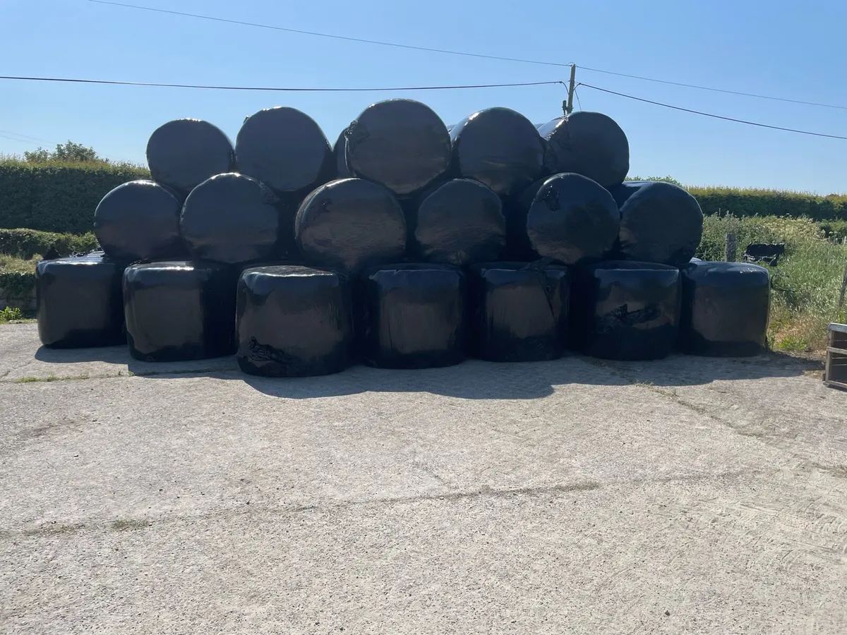 Haylage