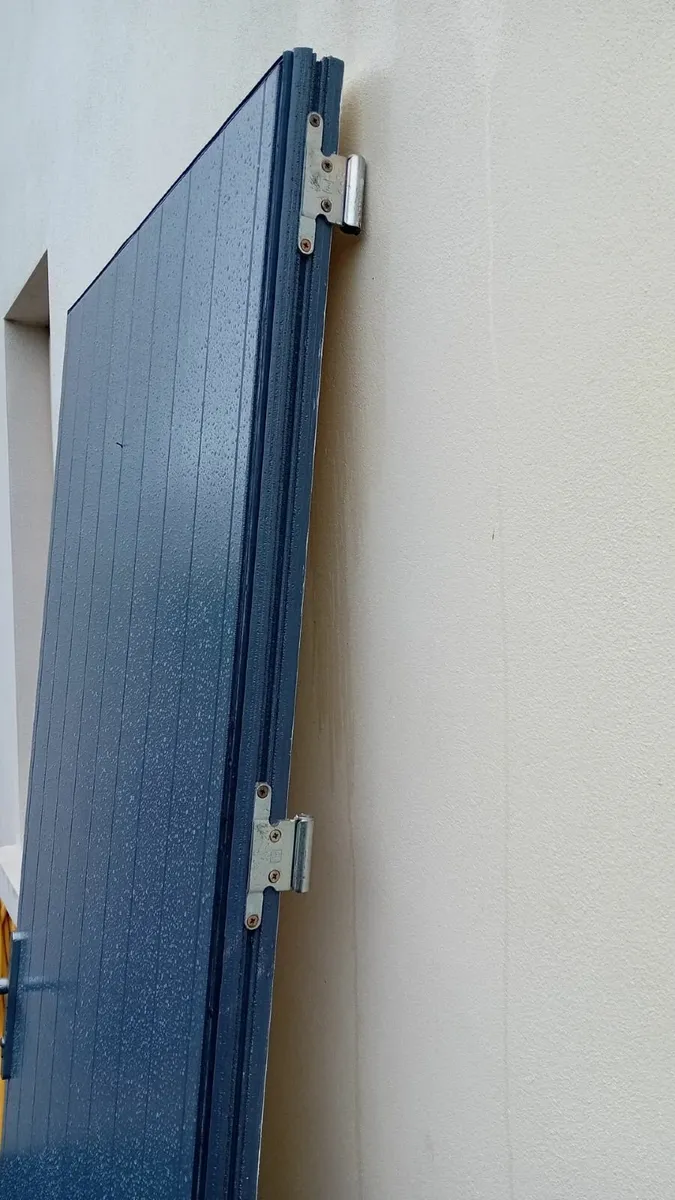 Door for Sale - Image 2