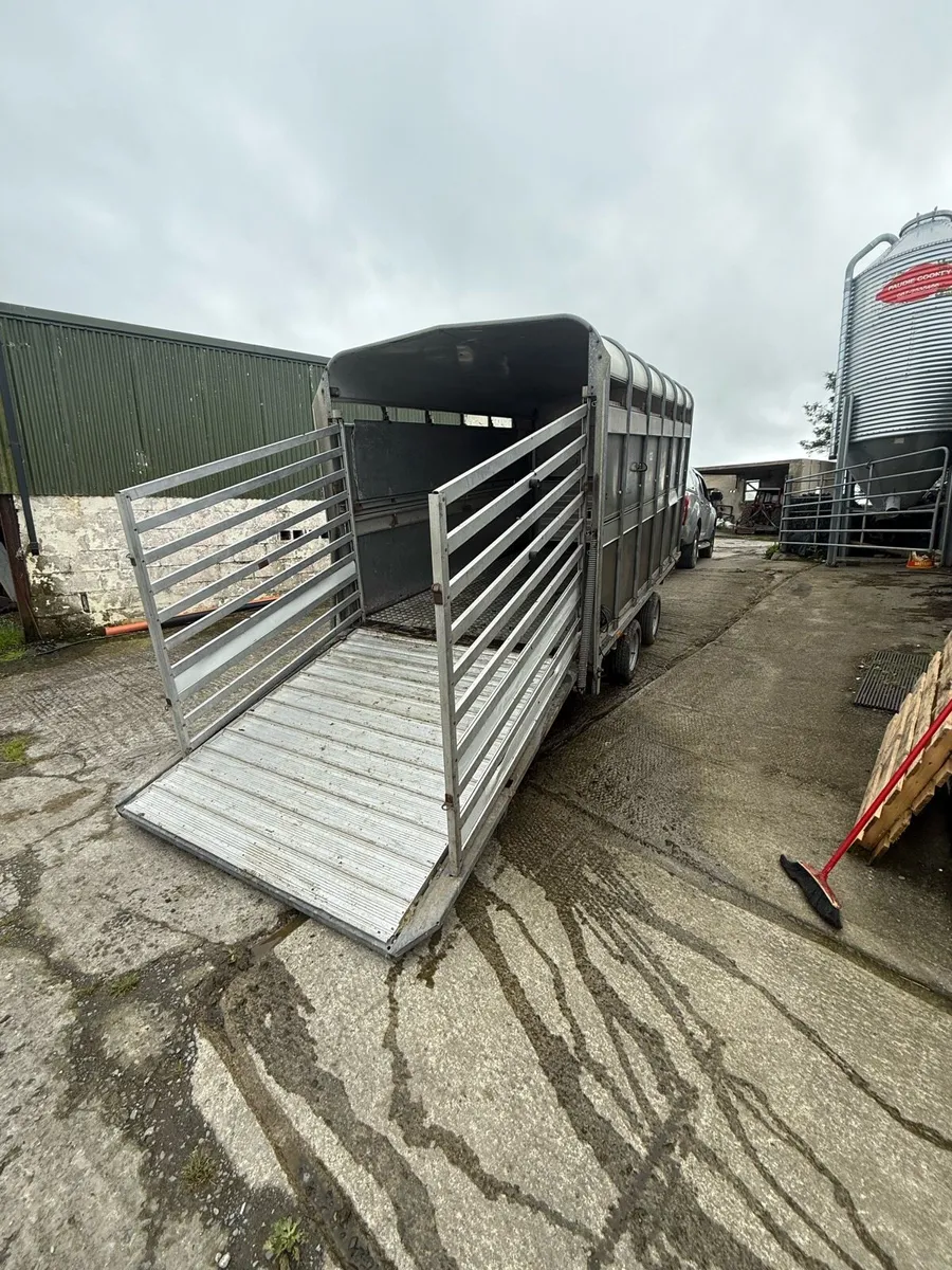 Combi Cow box / Sheep box - Image 1