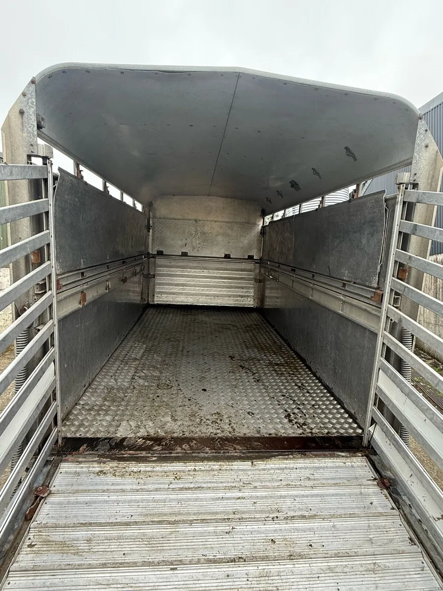 Combi Cow box / Sheep box - Image 2