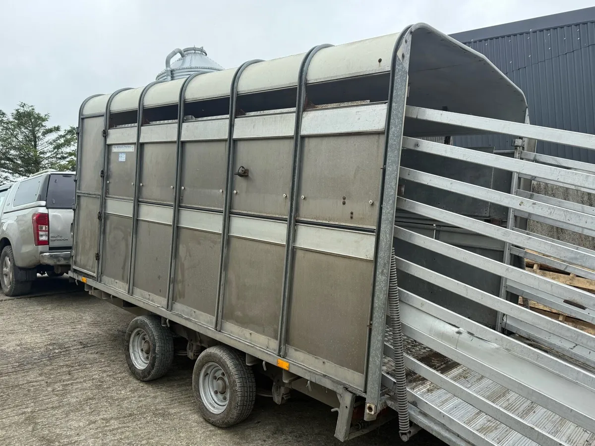 Combi Cow box / Sheep box - Image 3