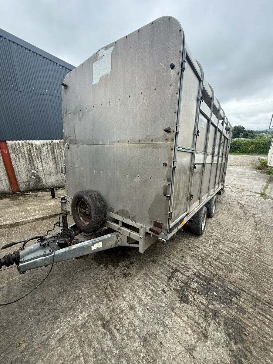 Combi Cow box / Sheep box - Image 4
