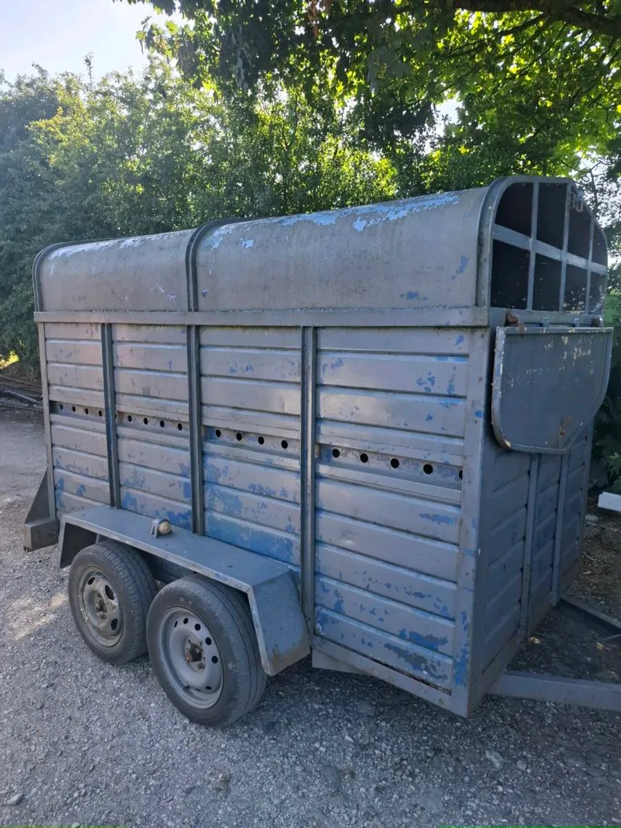 Cow trailer - Image 1