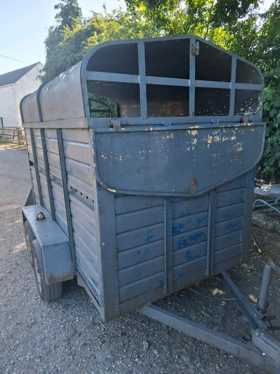 Cow trailer - Image 2
