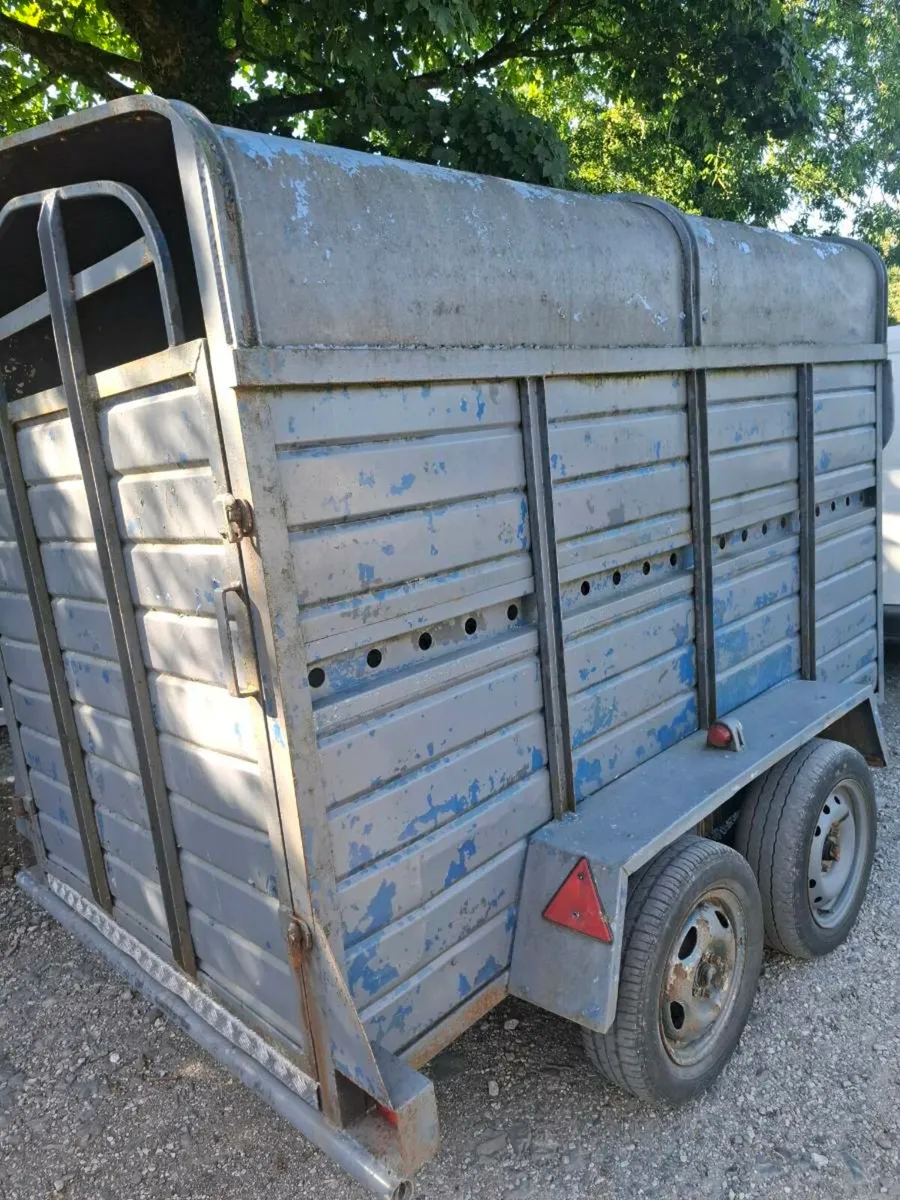 Cow trailer - Image 4