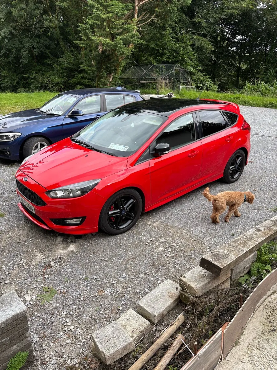 Ford Focus ST Redline - Image 2
