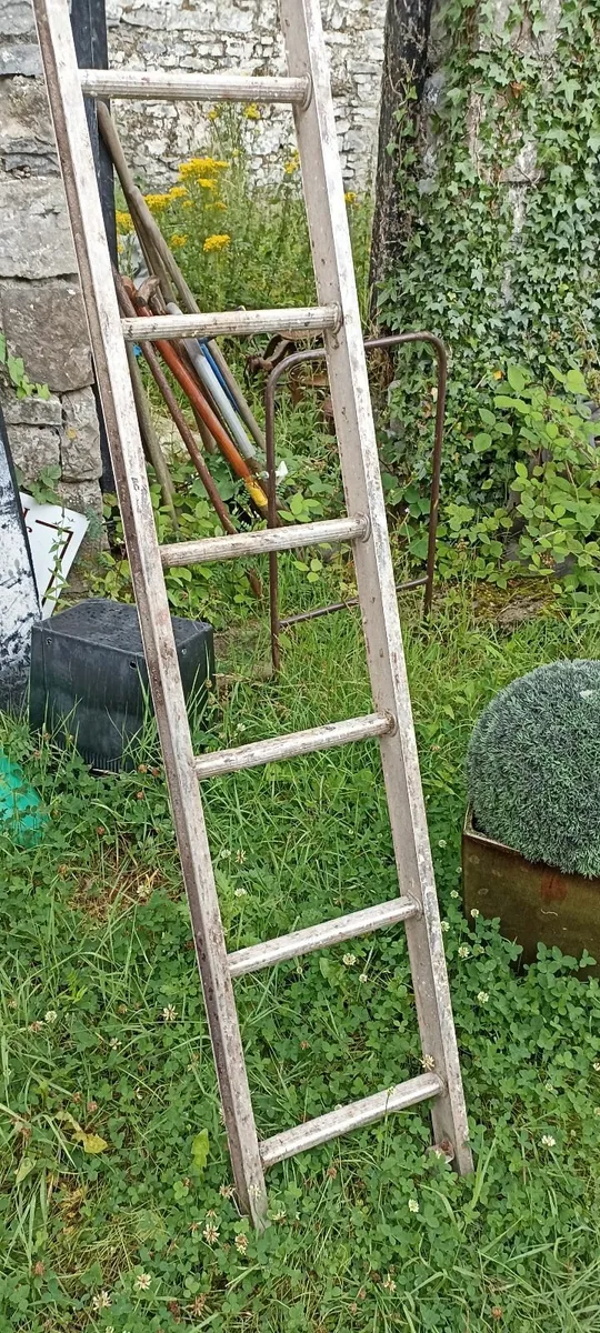 Clima Extension Ladder - Image 3