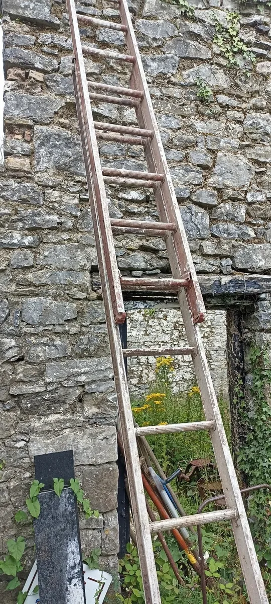Clima Extension Ladder - Image 2