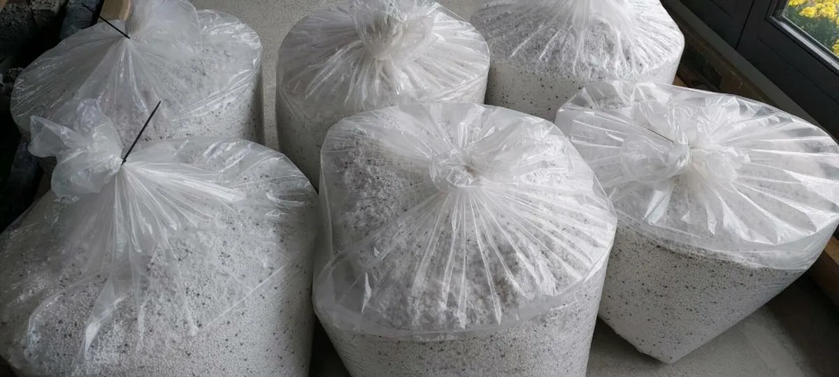 Cavity wall insulation - Image 2