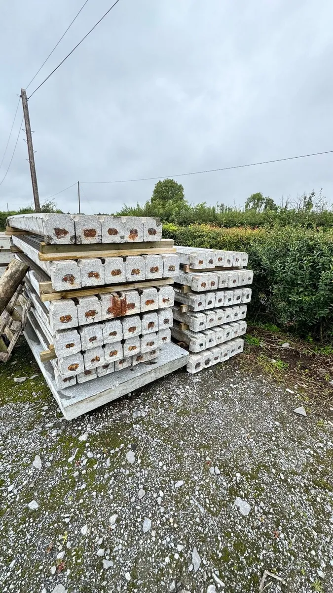 Cattle slats - Image 3