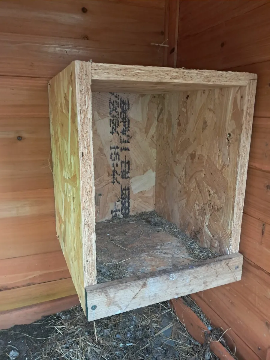 Hen Coop - Image 2