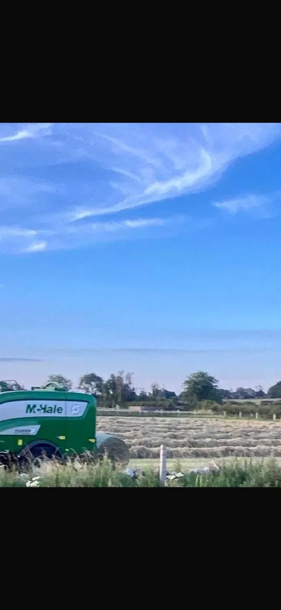 Hay for sale
