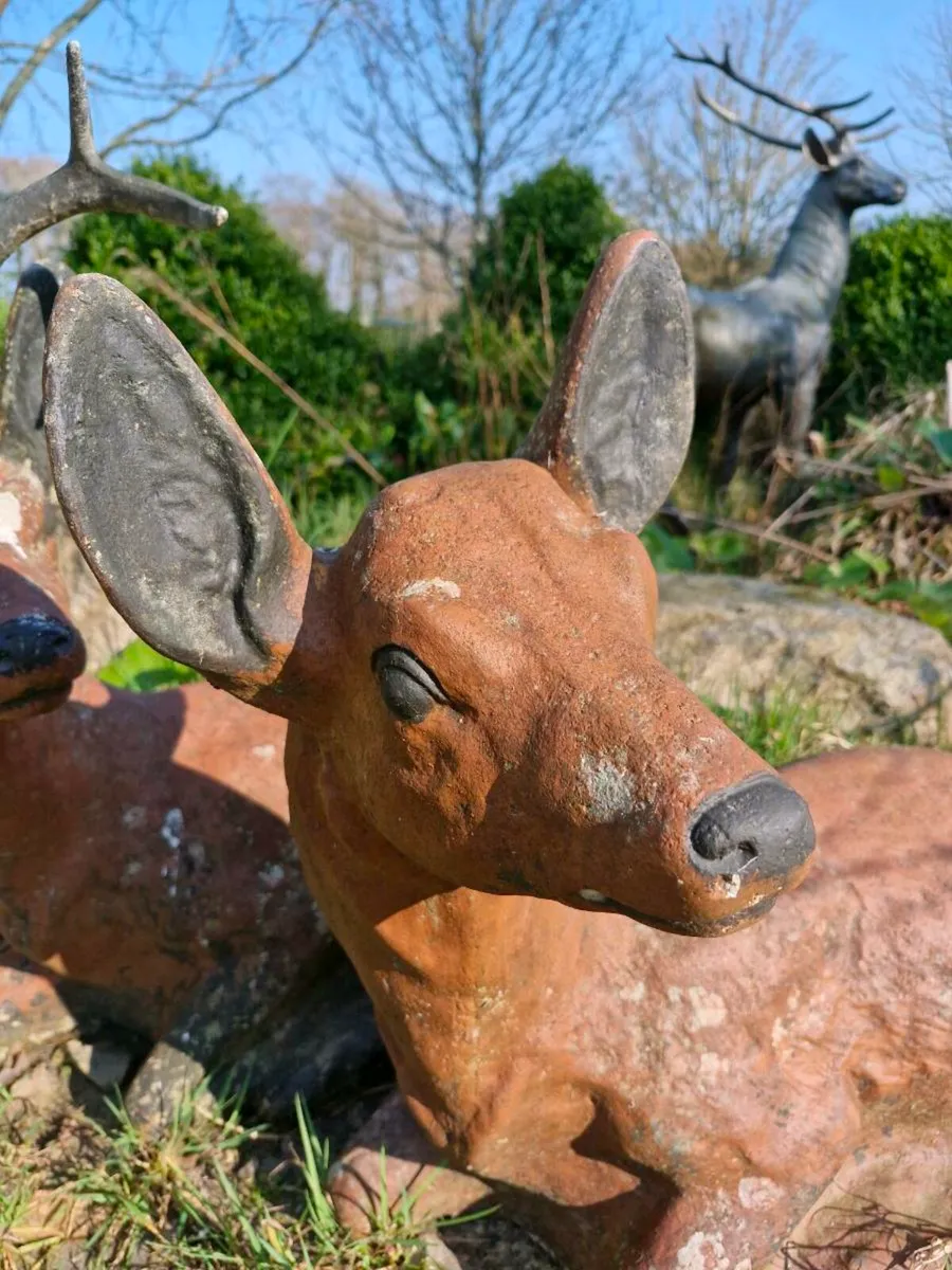 Deer - Image 3