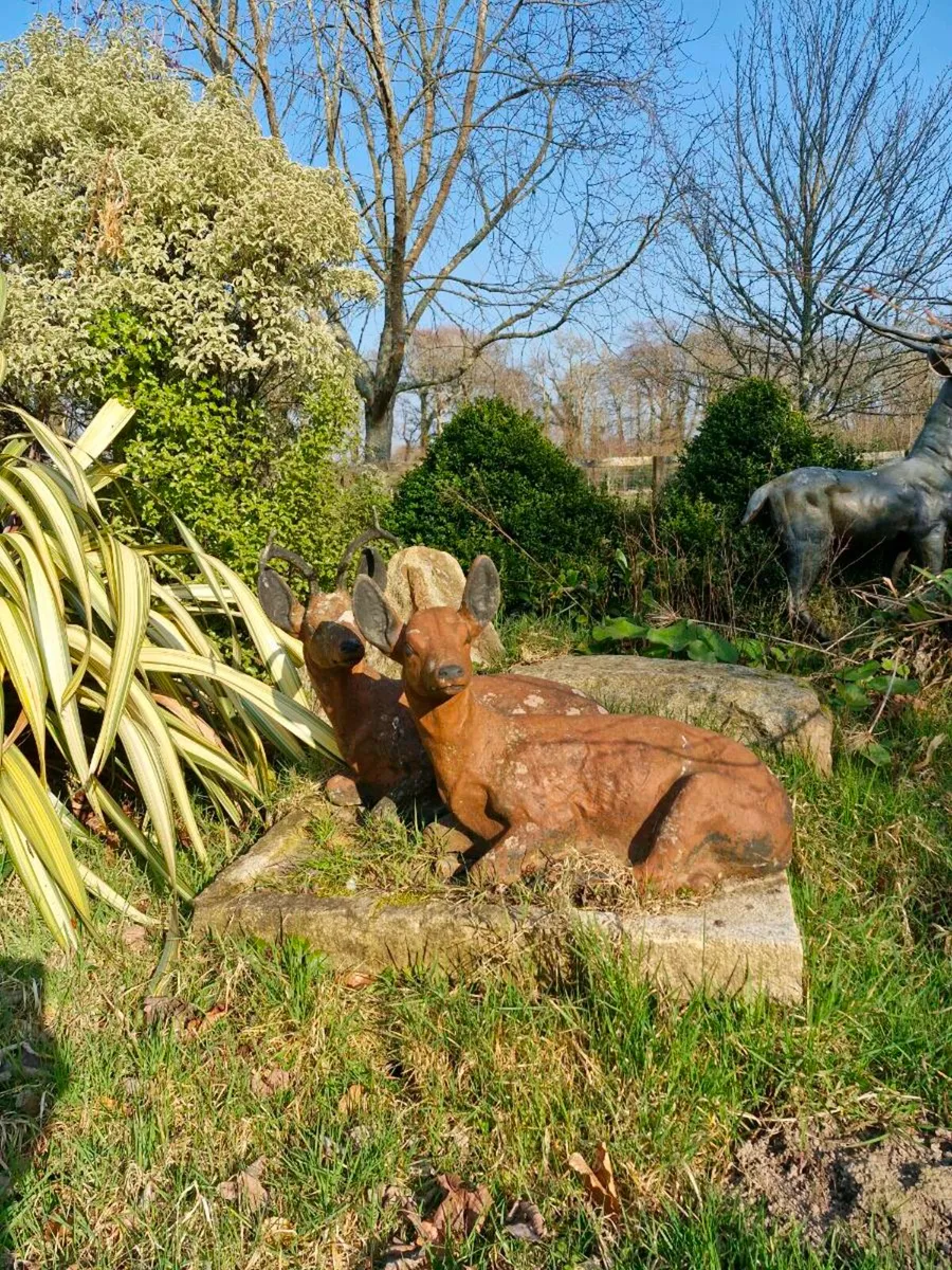 Deer - Image 4