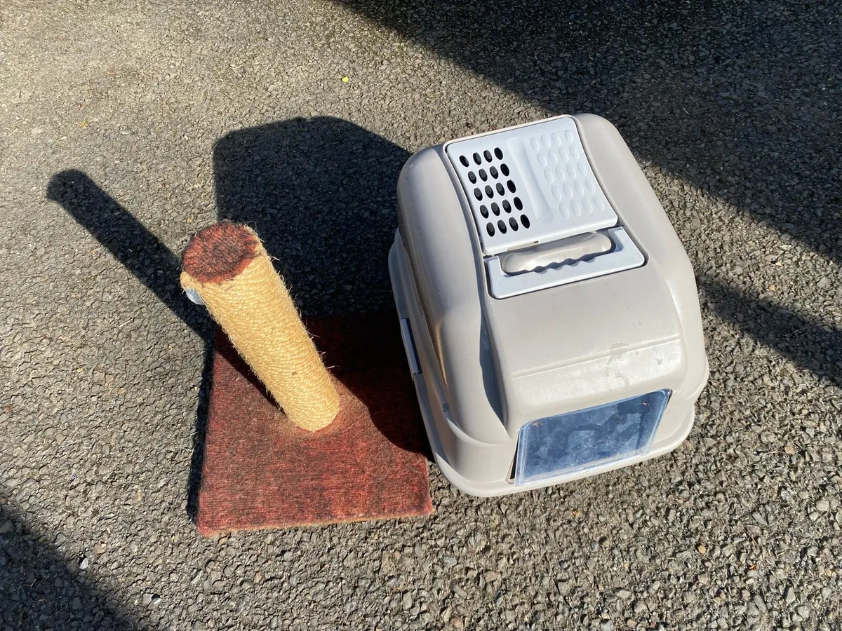 Litter tray & Scratch Pole - Image 1