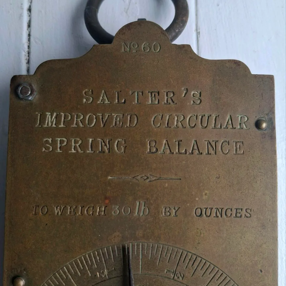 Salter Spring Balance Scales - Image 2
