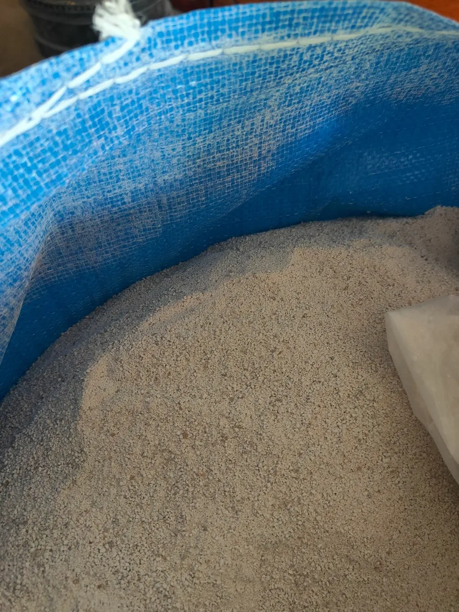 White Sand - Image 2
