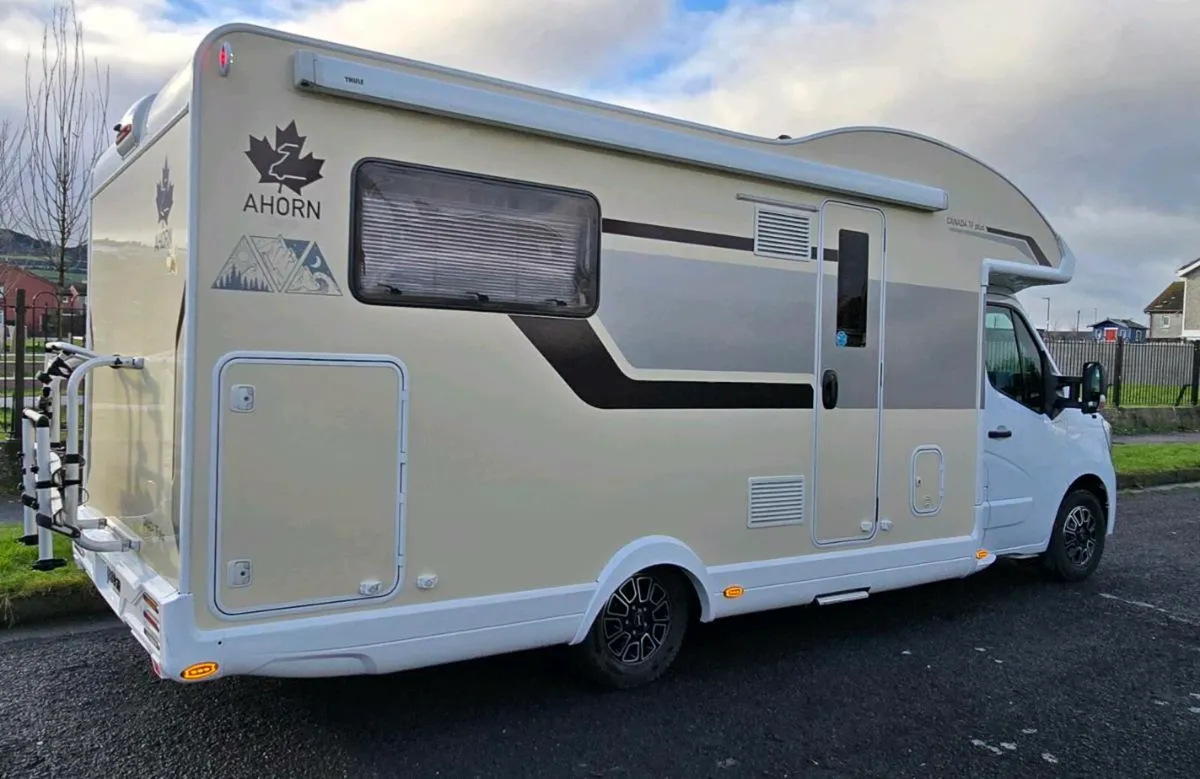 Ahorn Canada TF Plus - Image 2