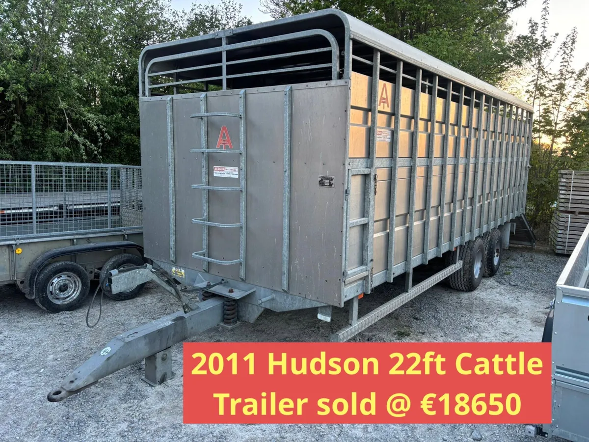 Auction Review H1 2025 Part 3 - Image 4