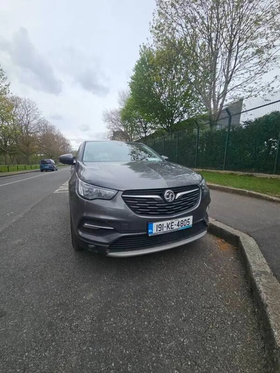 2019 Vauxhall Grandland X - Image 1