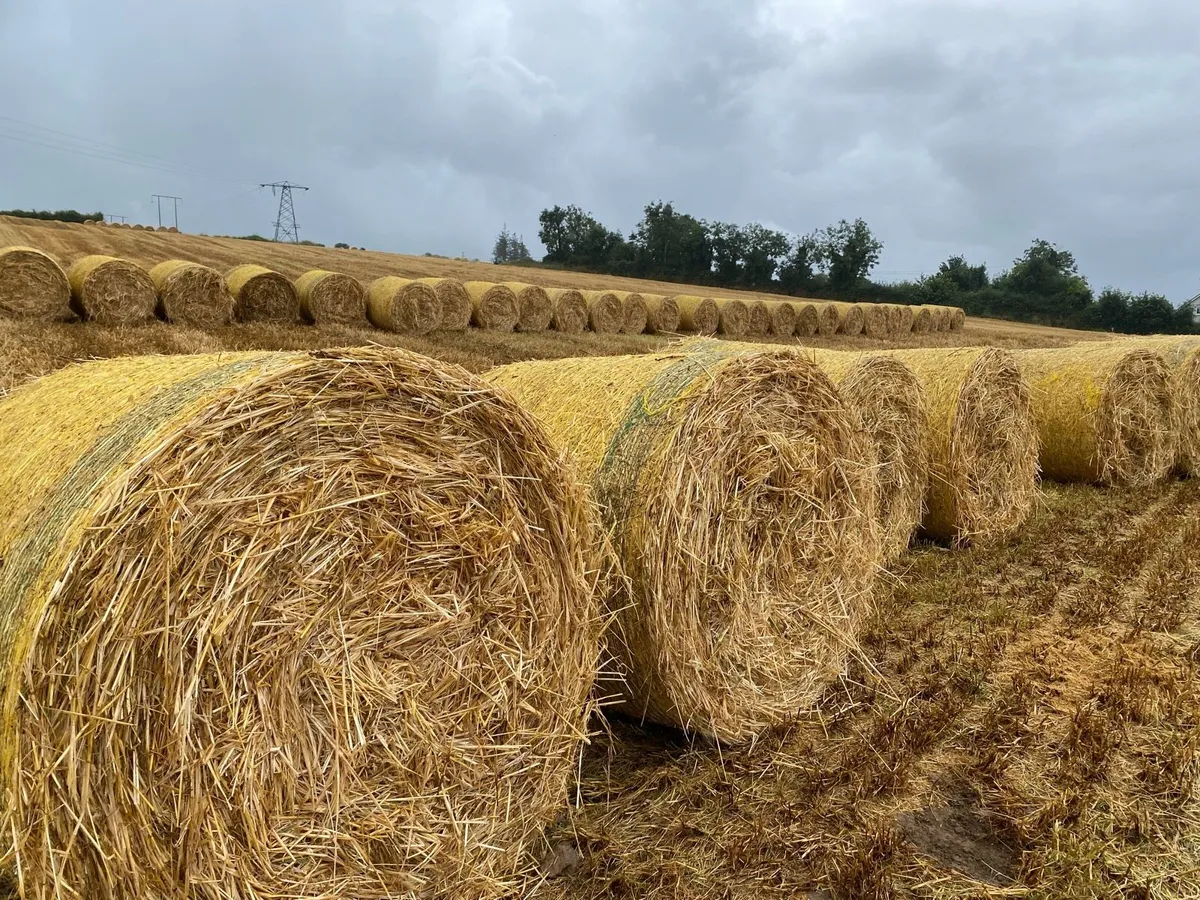 Straw - Image 1
