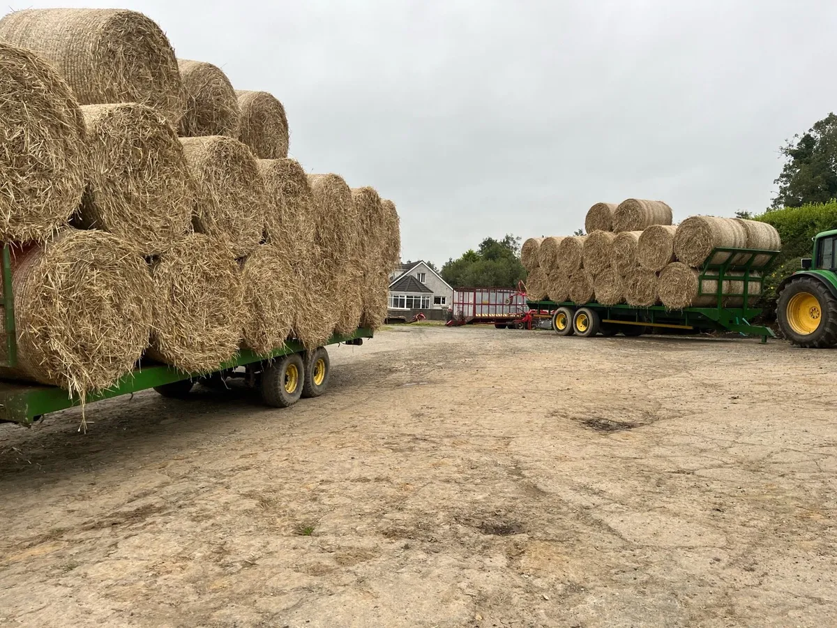 Straw - Image 4