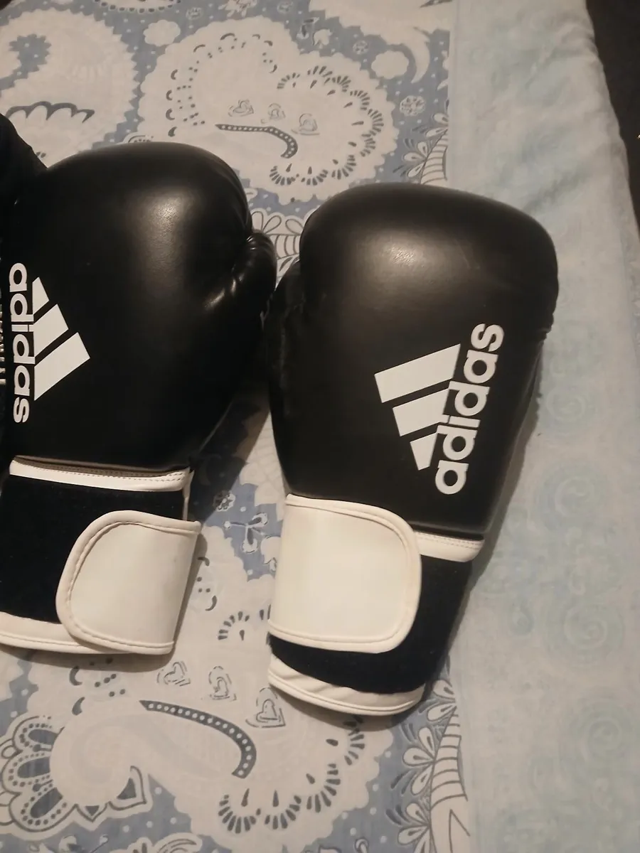 Boxing gloves and boots - Image 1