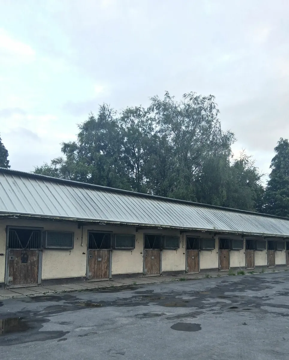 Stable yard/Training yard to let on The Curragh - Image 2