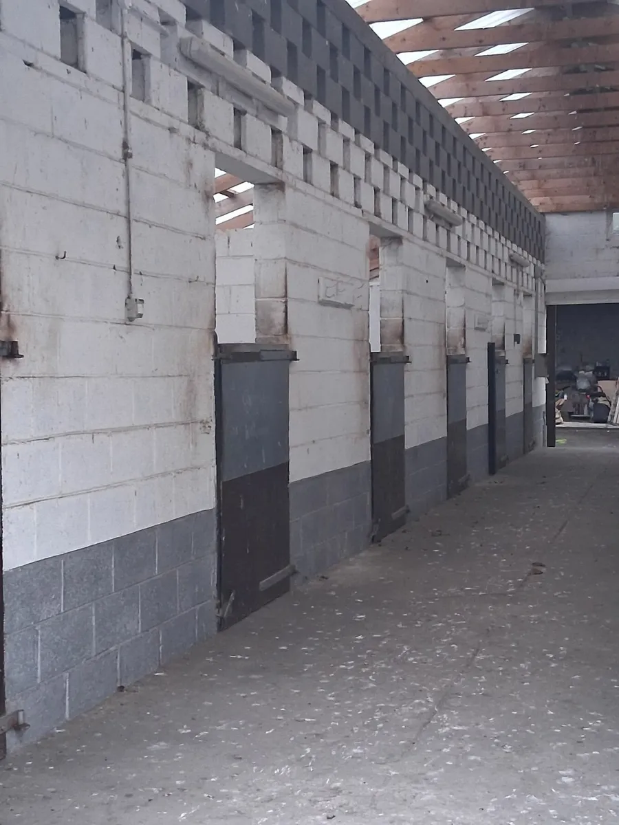 Stable yard/Training yard to let on The Curragh - Image 3