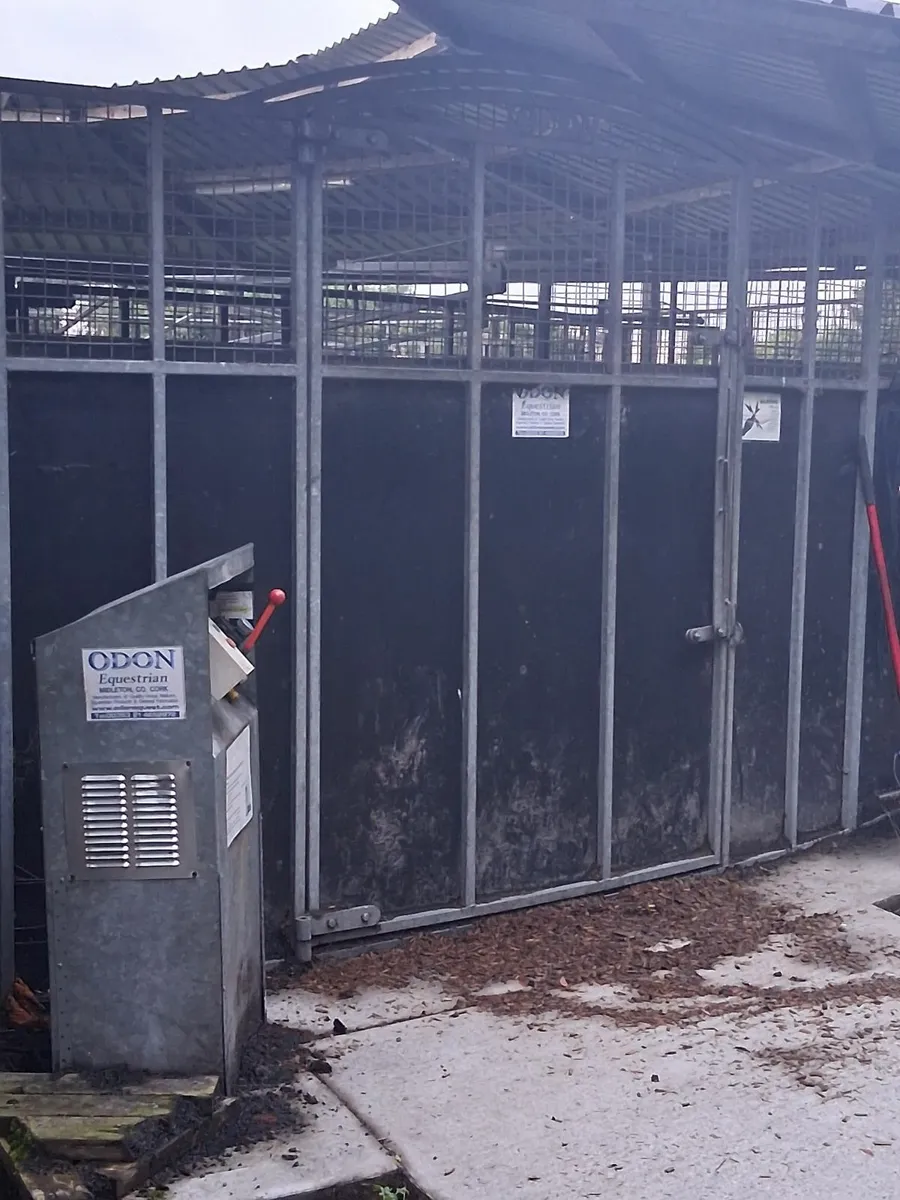 Stable yard/Training yard to let on The Curragh - Image 4