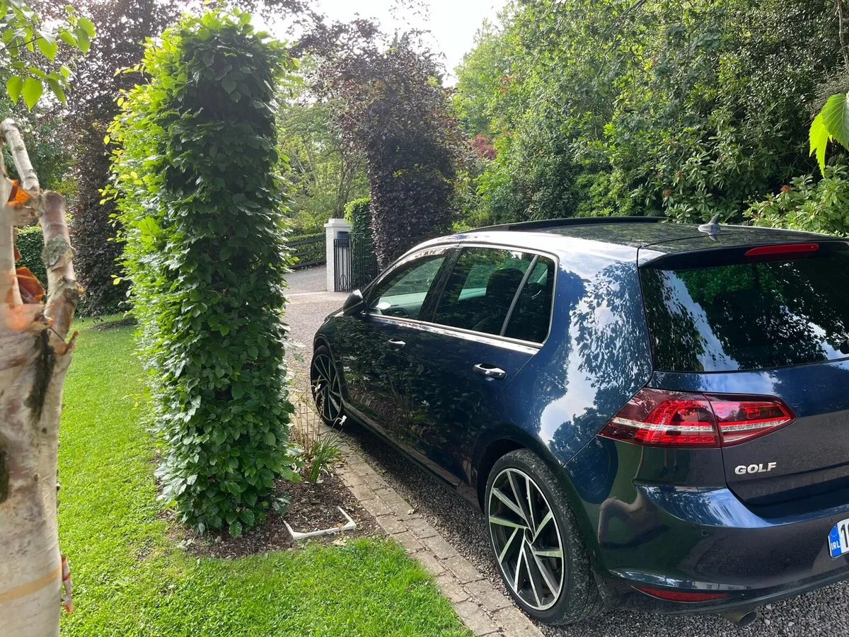 Vw golf - Image 2