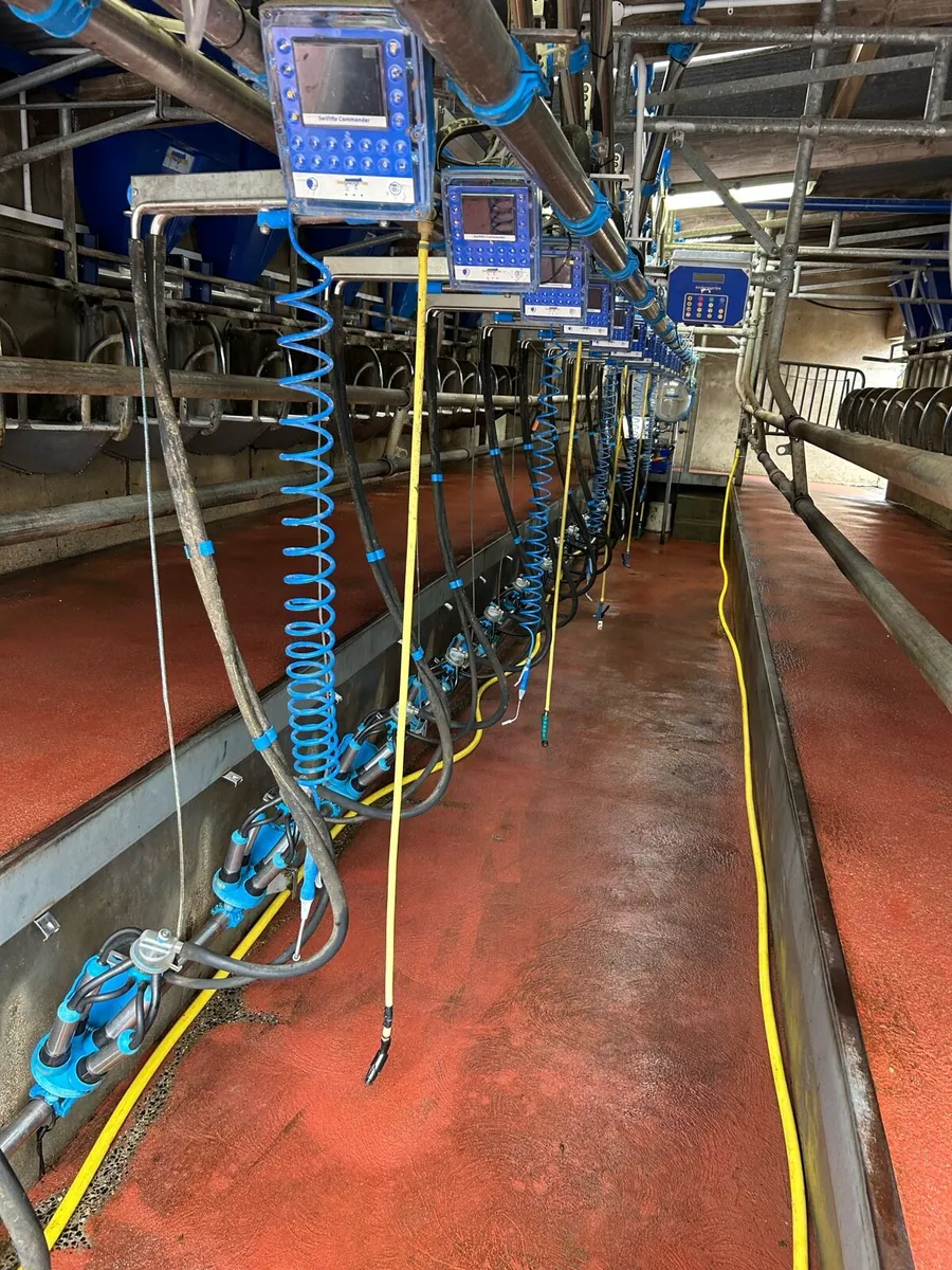 Dairymaster Swiftflow milking parlour - Image 1