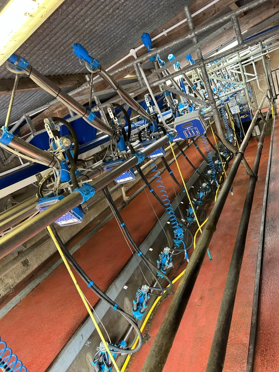 Dairymaster Swiftflow milking parlour - Image 2