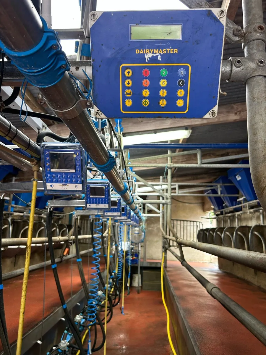 Dairymaster Swiftflow milking parlour - Image 3