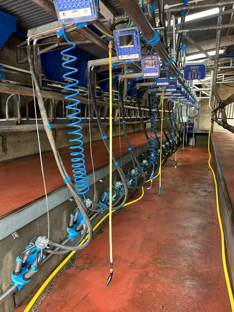 Dairymaster Swiftflow milking parlour - Image 4