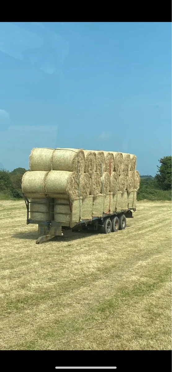 Hay - Image 1