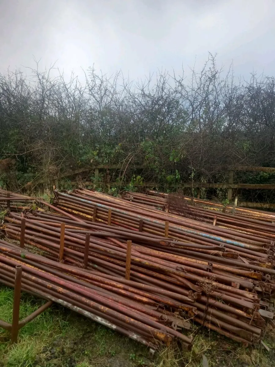 Scaffold bought for cash - Image 4