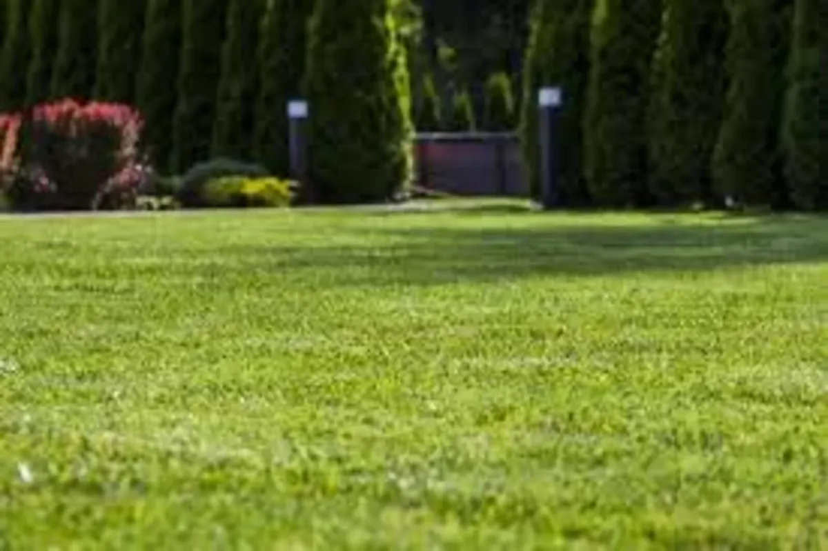 Garden Maintenance — Fast and Reliable