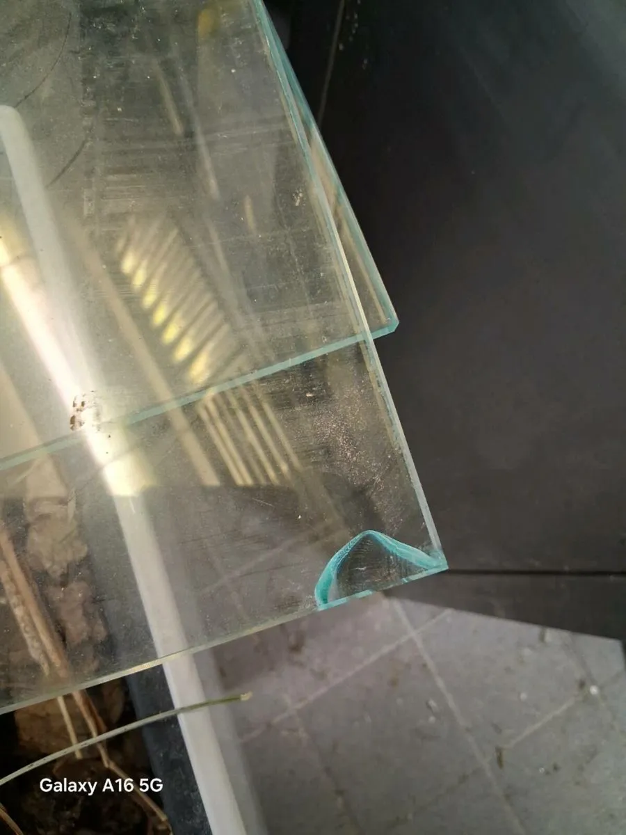 Glass shelves - Image 2