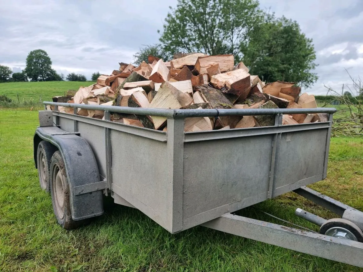 Firewood - Image 1
